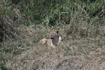 DSC_3655 (Large).JPG